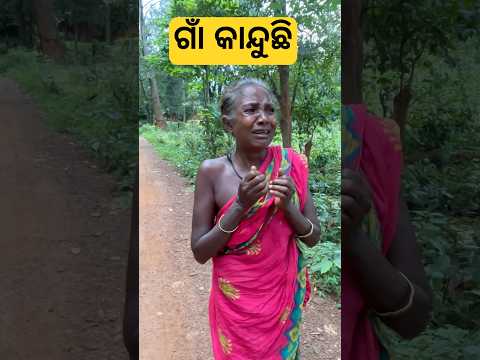 କ ନ ଦ ଛ ମ ଉସ 