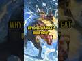 THE REASON RAJANG HUNTS KIRIN.