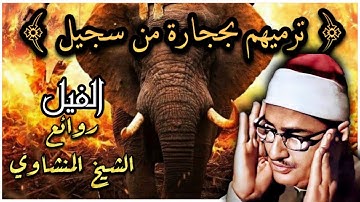 الم تره كيف فعل ربك با اصحاب الفيل - المنشاوي  سورة الفيل