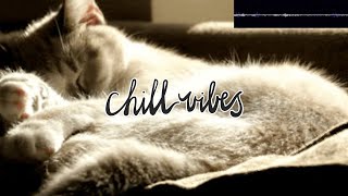 Chill Out Music.  Beautiful Gifs. Relax. Enjoy. Study Music.