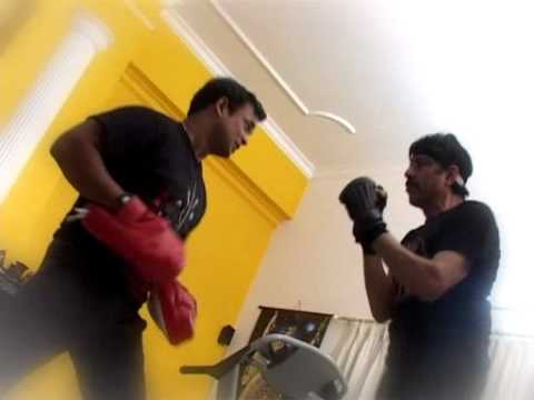 Mixed Martial Arts By Dr Manoj Gupta  (MMA)