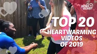 Top 20 Heartwarming Videos Of 2019 Poke My Heart
