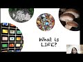 Experience Life by Sensing the Unheard and Unseen | SXSW 2021
