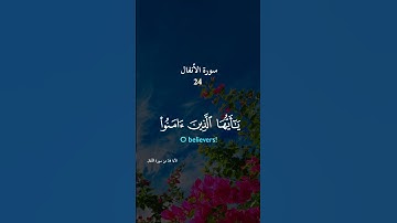 سورة الأنفال Surah Al-Anfal الآيه 24