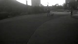 VID 00009-20091227-0818.3GP