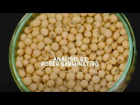 TRATAMIENTO DE SEMILLAS - video from Rizobacter
