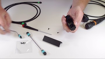 Neutrik opticalCON to MTP Conversion Box