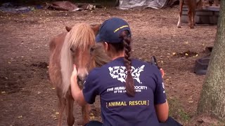 Animal Hell In Mississippi