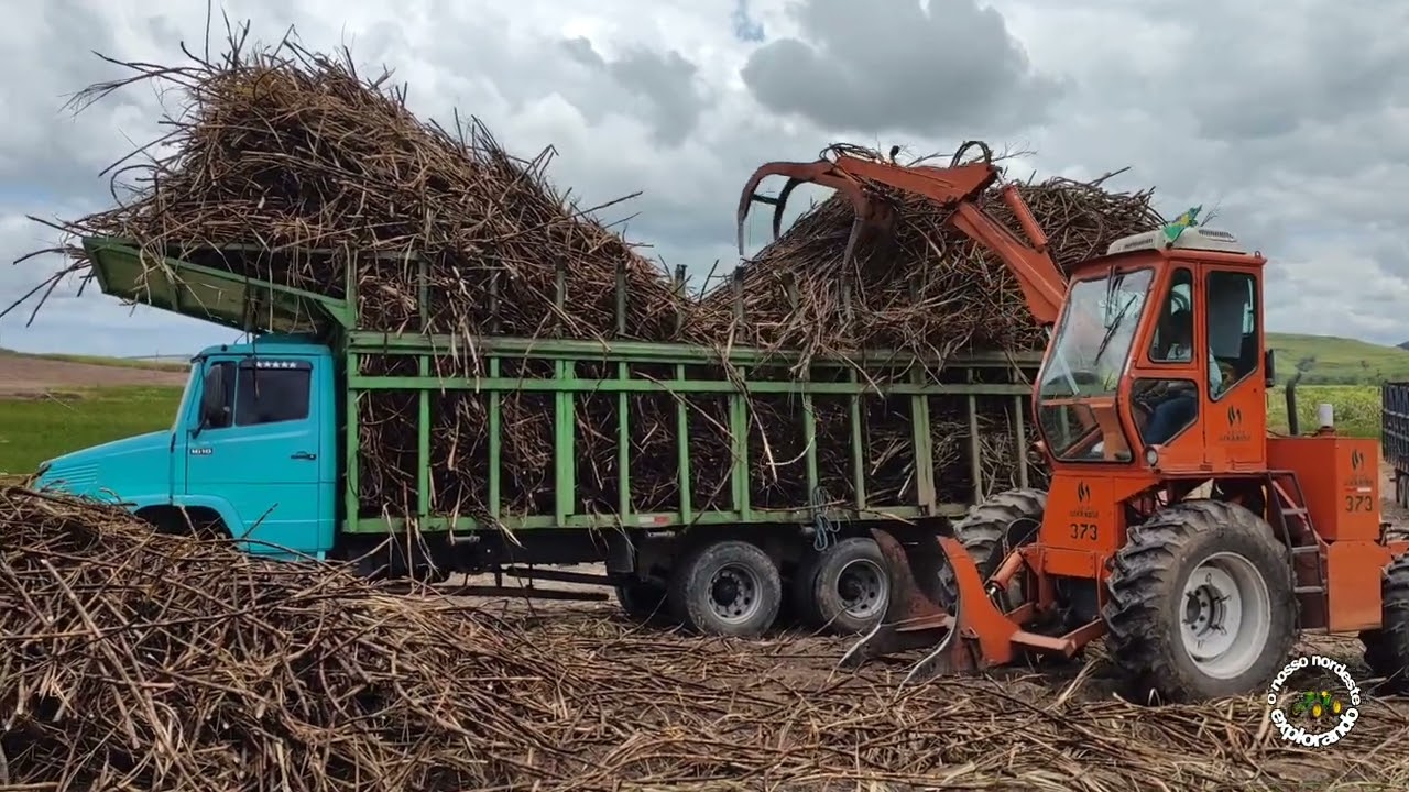 UMA PRINCESA NO CARREGAMENTO BICUDINHA!!!