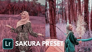Sakura Tone Lightroom Editing Tutorial | Free XMP Profiles | Pink Preset screenshot 4
