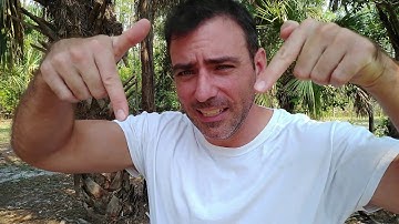 Plain Text or Database