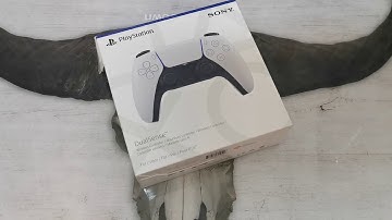 Ps5 5 Hydro Dipping, GTA V (5) Edition