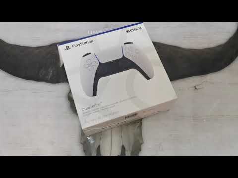 Ps5 5 Hydro Dipping, GTA V (5) Edition