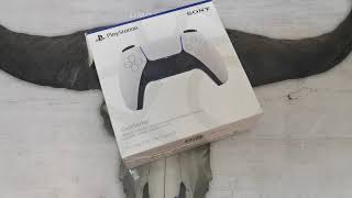 Ps5 5 Hydro Dipping, GTA V (5) Edition