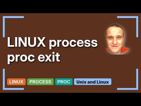 Unix & Linux: Duration of /proc/pid/stat