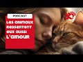 Podcast - Les animaux aussi ressentent l&#39;amour