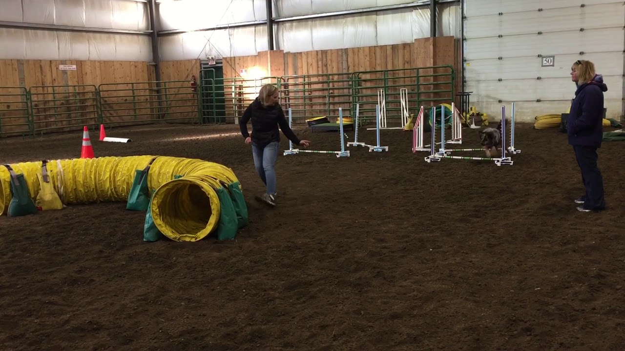 bend grid and ( first ever) backside tunnel