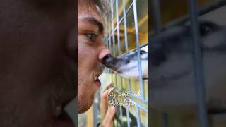 Brenten &amp; Walter #finatic #coatimundi