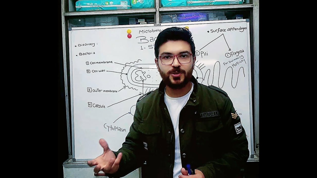 شرح ميكروبيولوجي 2 (لكليات المجال الطبي) تركيب البكتيريا - د. اسامه معروف