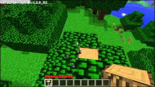 Minecraft tree glitch