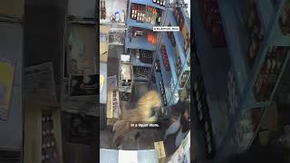 Leopard attacks worker in liquor store