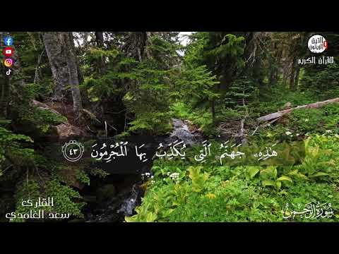 القرآن الكريم سورة الرحمن بصوت الشيخ سعد الغامدي تلاوه هادئة وممتعا مع مناظر طبيعية Full HD