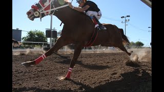 Horse races on December 7, 2025 at the Hermosillo Hippodrome