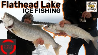 ICE FISHING WHITEFISH and LAKE TROUT ON FLATHEAD LAKE MONTANA