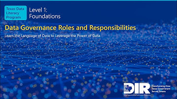 9. Data Governance Roles Responsibilities