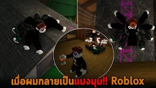 เมื่อผมกลายเป็นแมงมุม Roblox screenshot 1