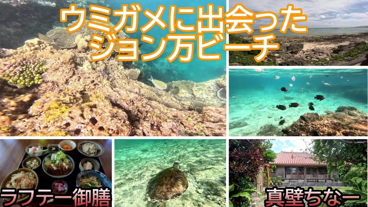 ウミガメに出会ったジョン万ビーチ（大度海岸）と真壁ちなーのラフテー御膳