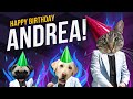 Happy birt.ay andrea  its time to dance