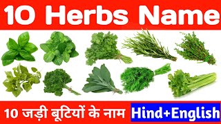 10 Herbs Name, 10 जड़ी बूटी (औषधियों) के नाम, Herbs name in Hindi and English with their pictures
