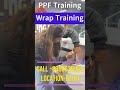 Learn Car Detailing and PPF with The Detailing School