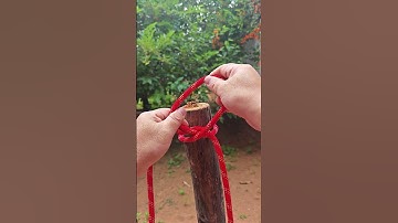 knot art,A practical knot, the Pig