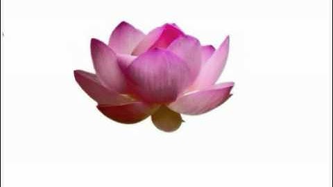 Autogenic Training   a guided relaxation