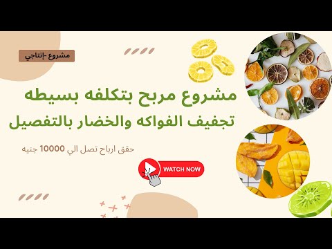 مشروع مربح بتكلفة بسيطة تجفيف الفواكه والخضار خطوة بخطوة