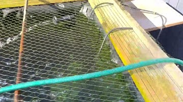 EasyClear 3000 all in one filter