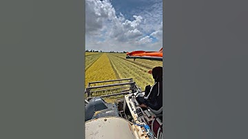 Máy Cắt Lúa Kubota DC 93