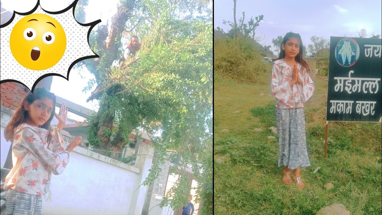 Sunday ko bhut masti ki 🤗🤗..hum Sab gye devsthan pe...🙏..Humara tree 🌲 ...