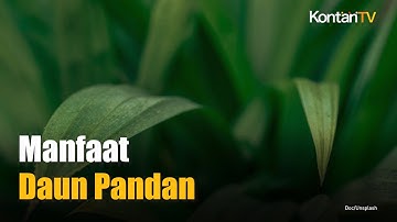 Manfaat Daun Pandan untuk Kesehatan
