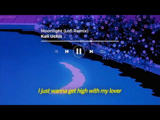Kali Uchis - Moonlight (Lofi Remix)