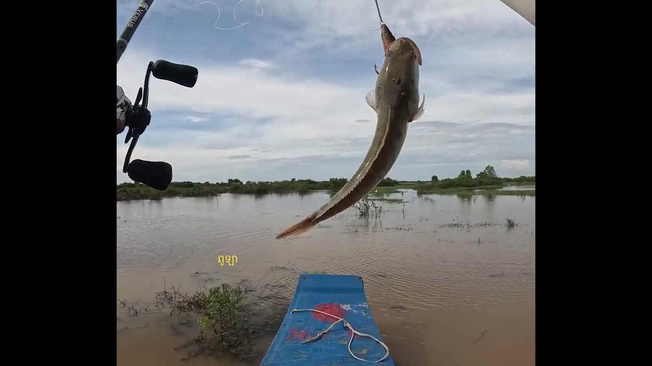 មកក្រោយក្រោយគេបឹងបួនមុំ 