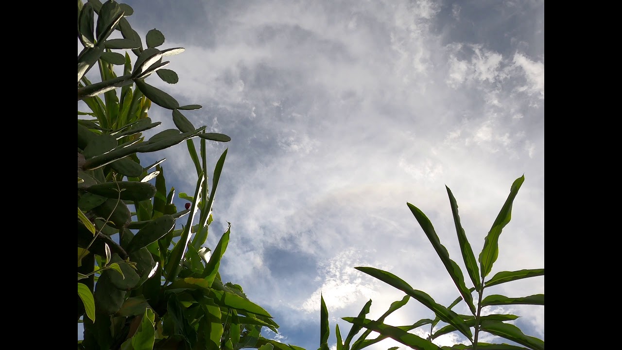 Cloud Time Lapse in Borneo (Shing Yu Garden) - YouTube