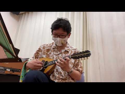 けものフレンズ ようこそジャパリパークへ full マンドリンソロ マンドリン mandolin
