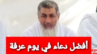 أفضل دعاء في يوم عرفة .. للشيخ مصطفى العدوي