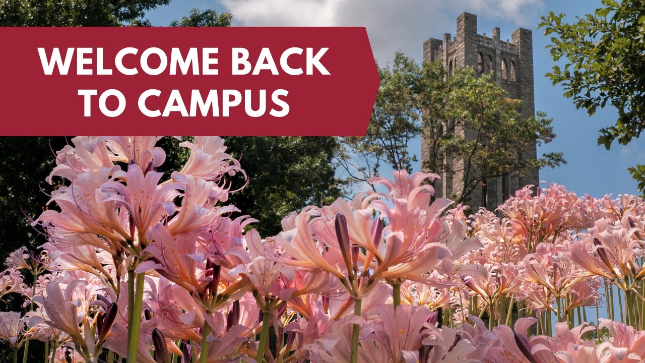 Back to Swarthmore YouTube