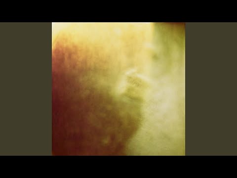 Sleduj Diffuse Reflection na YouTube