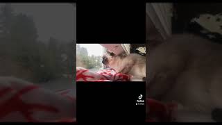 Clean Bandit - Solo Feat. Demi Lovato