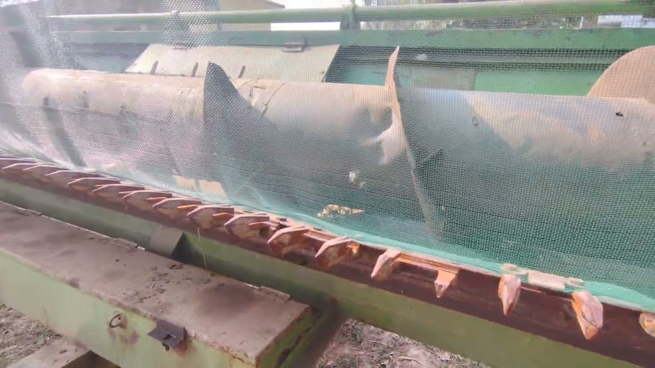 Harvester me huaa bahut bada nuksan 🤯😨😱..? #viral 